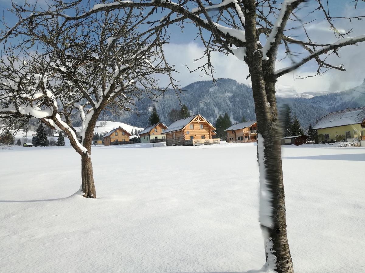 Holiday home Stoffis Huetten Tauplitz